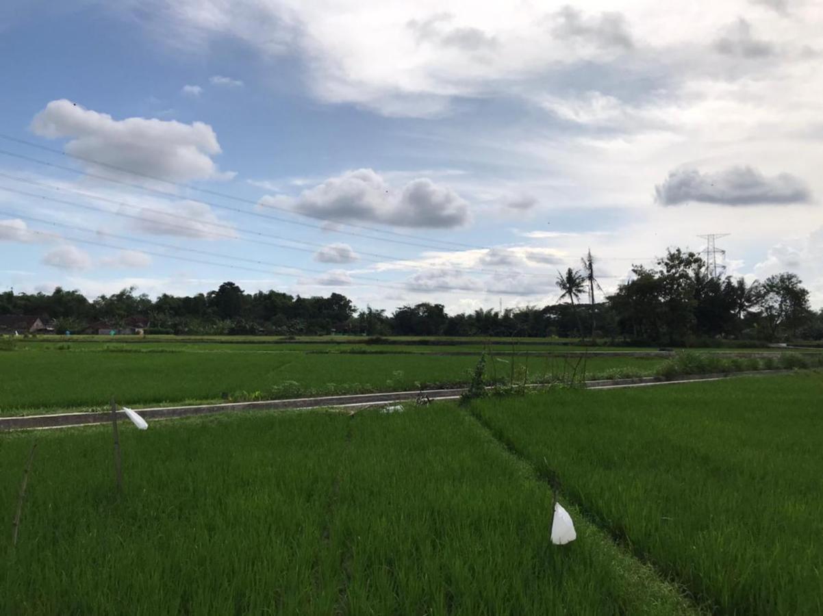 Legiyem Homestay Yogyakarta Luaran gambar